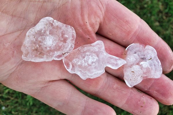 Hail in Hand 600x400